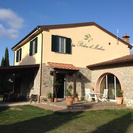 Podere Il Mulino Pieve di Santa Luce Exteriér fotografie