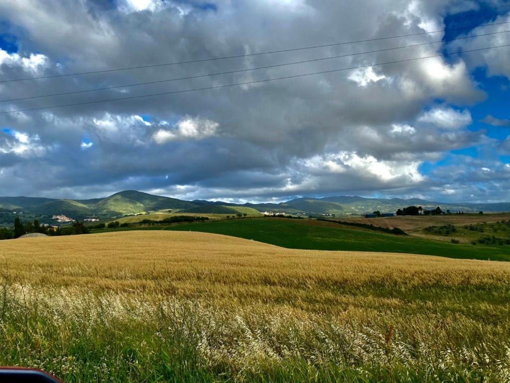 Podere Il Mulino Pieve di Santa Luce Exteriér fotografie