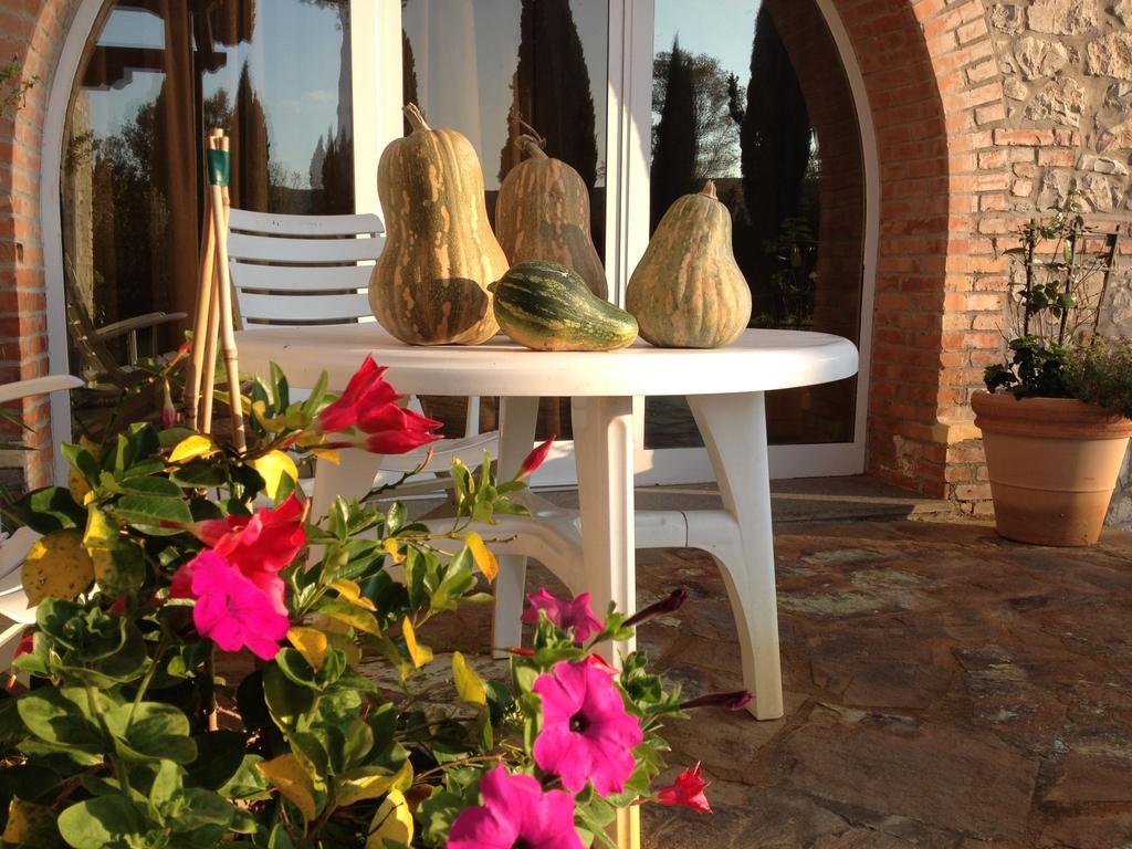 Podere Il Mulino Pieve di Santa Luce Exteriér fotografie